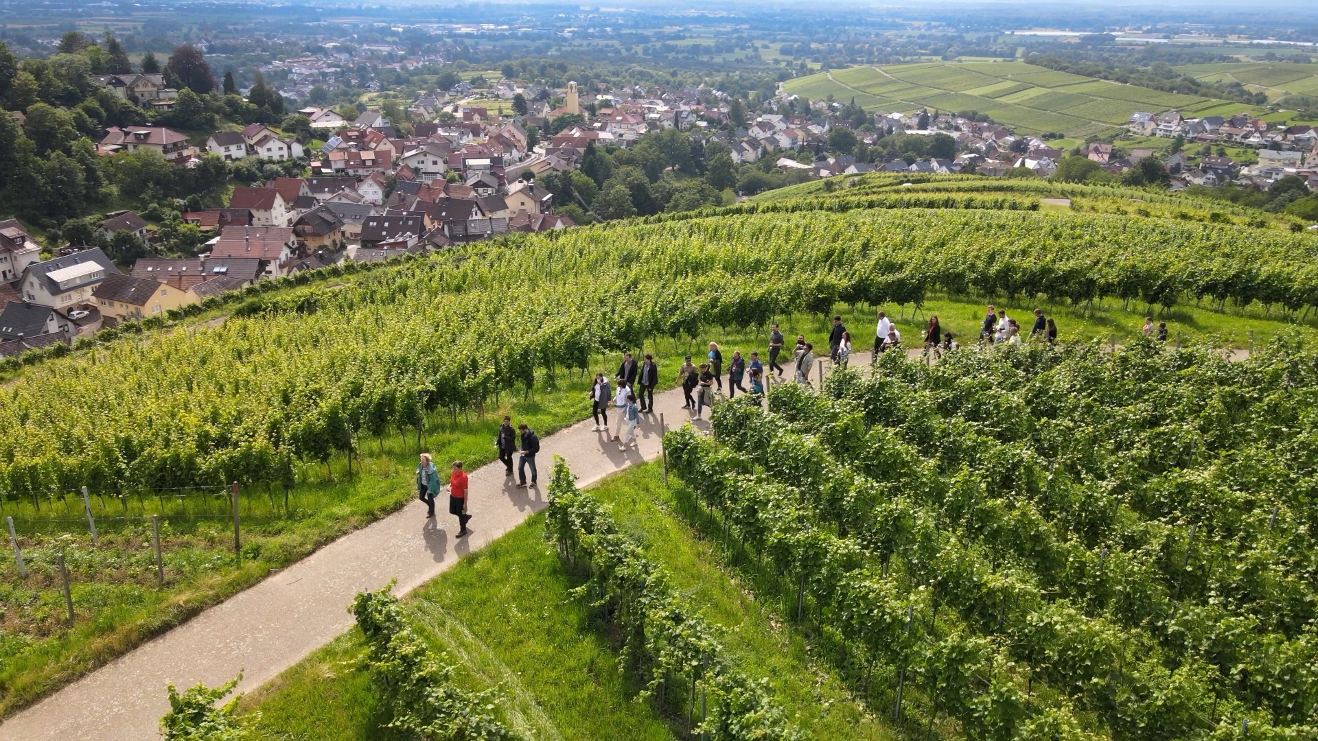 Weinwanderung 2021